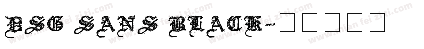 DSG Sans Black字体转换